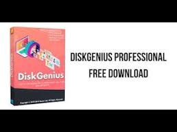 DiskGenius Professional