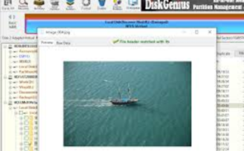 DiskGenius Professional 5.6.0.1565 Full Crack